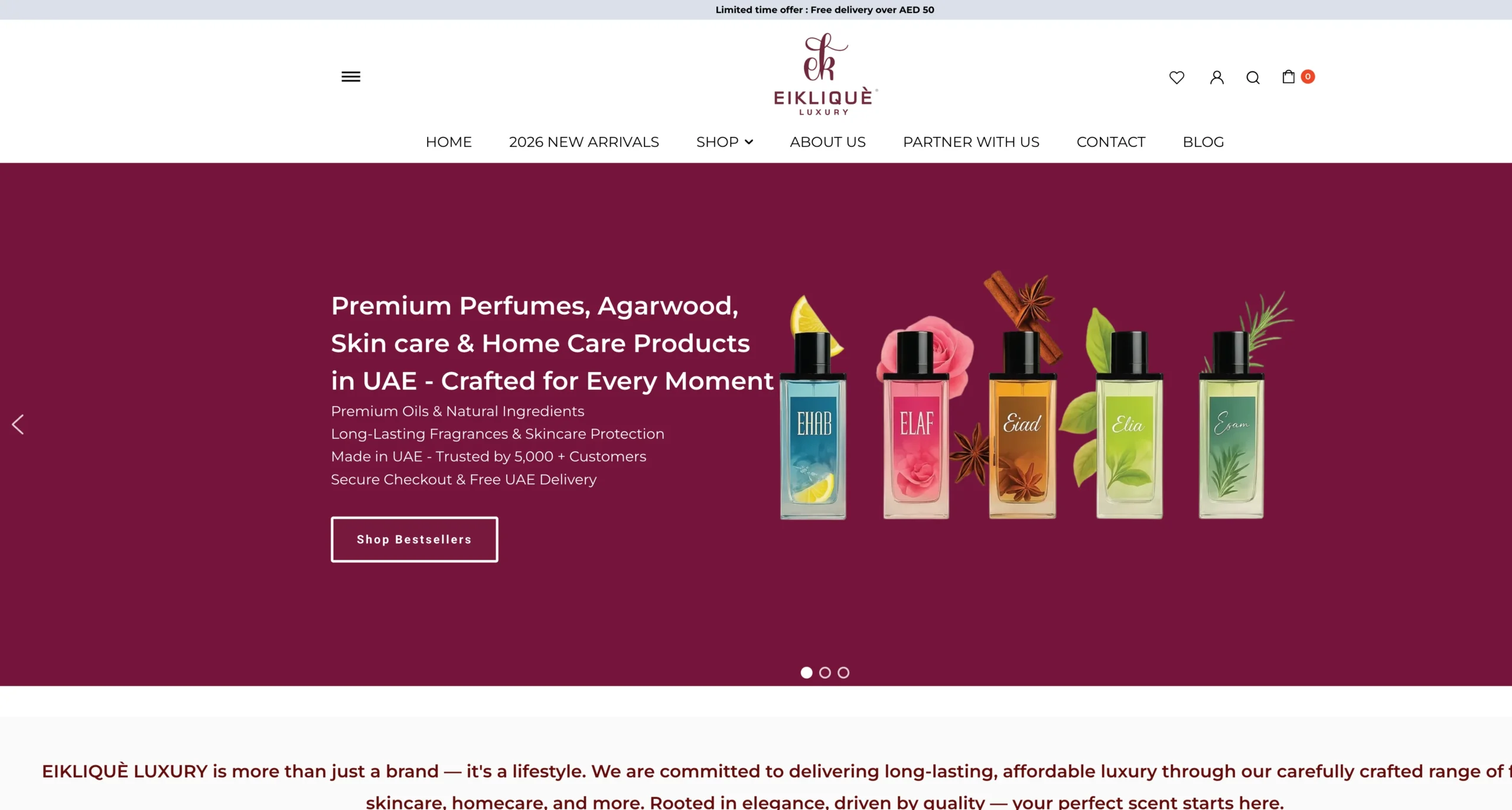 Eiklique website design project by Brandonic Dubai