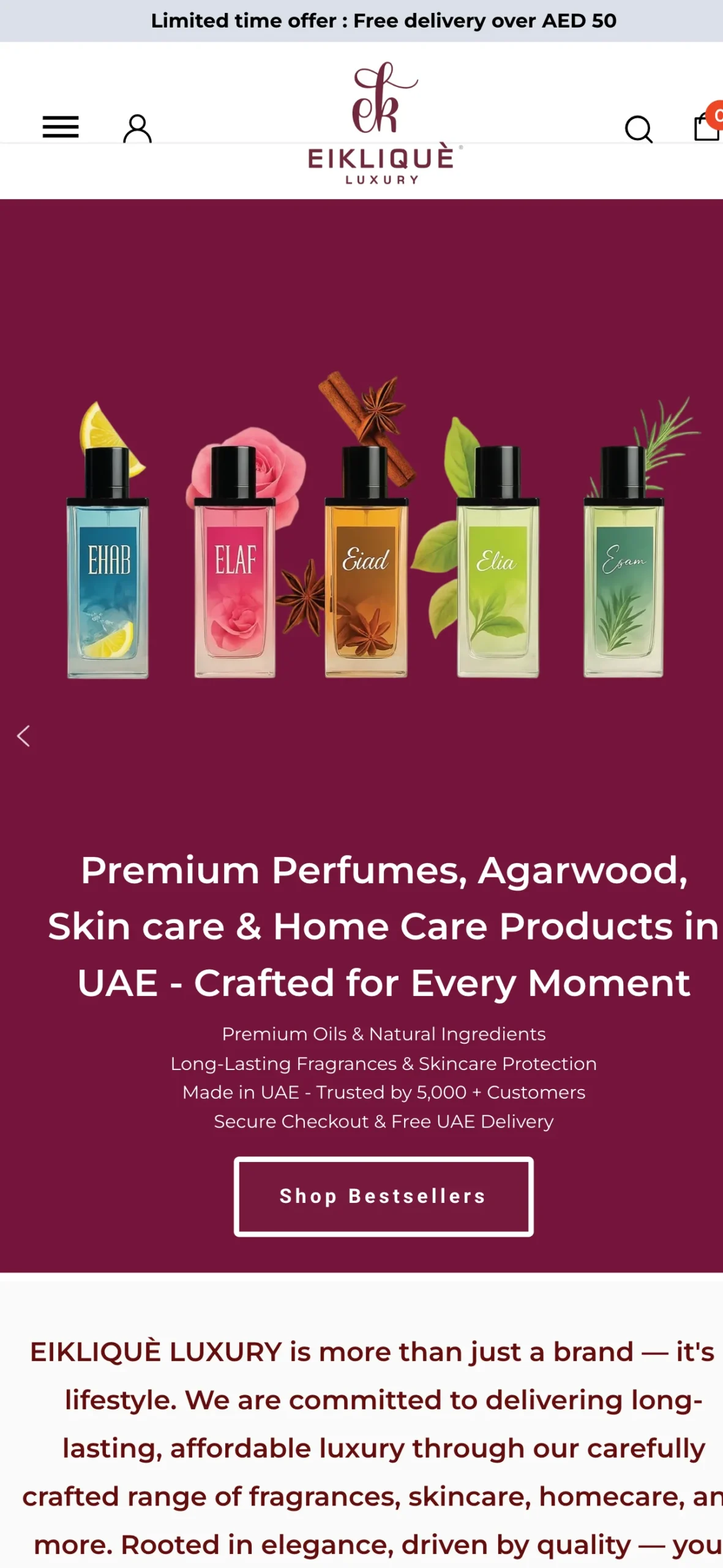 Eiklique website design project by Brandonic Dubai